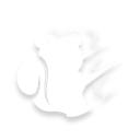 Shadow Magic