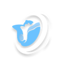 Rolling Torrent