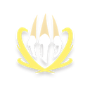 Lightning Claw