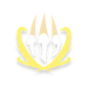 Lightning Claw