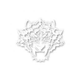 C4