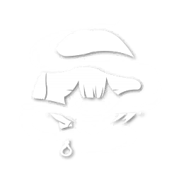 C2