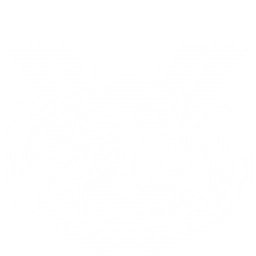 Sonic Wave