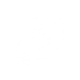 Crimson Meteor