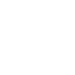 Secret Technique - Radiant Dragon