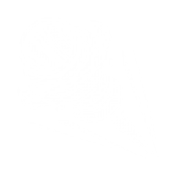 Tiger Strike