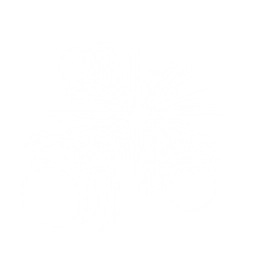 Aura of Harmony
