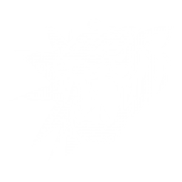 Cataclysm