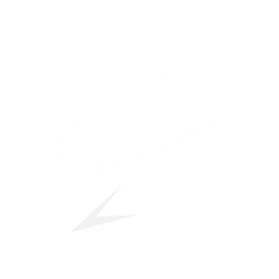 Thunder Chain Slash
