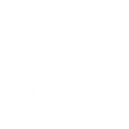 Storm Call