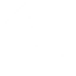 Intro