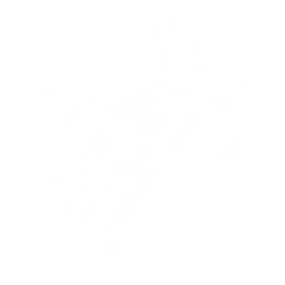 Bullet Ballet