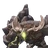 Avardan's Mana