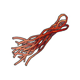 Thin Sinew