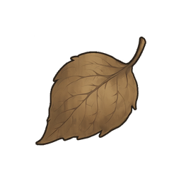 Dry Leaf Fragment