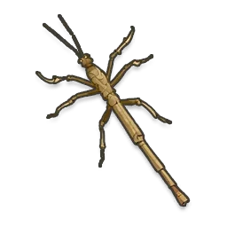 Walking Hay Stick
