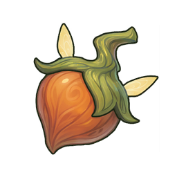 Fairy Nut
