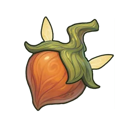 Fairy Nut