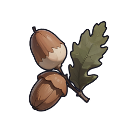 Raccoonie Acorn