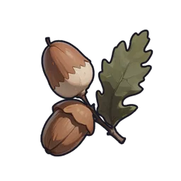 Raccoonie Acorn
