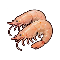 Fresh Shrimp
