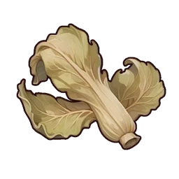 Dried Cabbage Leaf