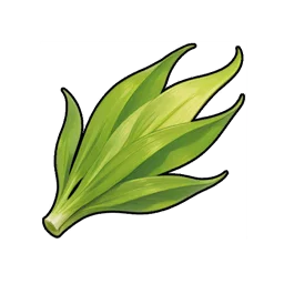 Corn Husk