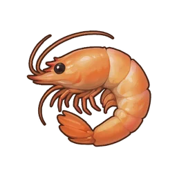 Plump Shrimp
