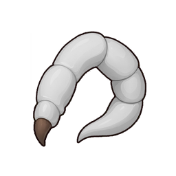 Giant White Spider Leg