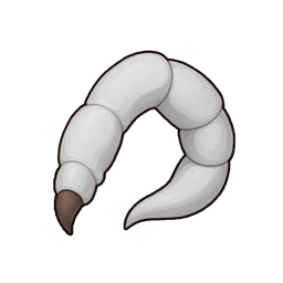Giant White Spider Leg
