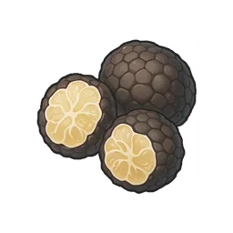 Moley Truffle