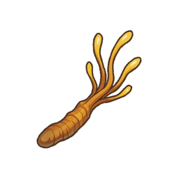 Avardan Cordyceps