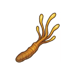 Avardan Cordyceps