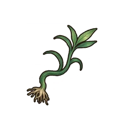 White Snakeleaf