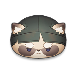 Ronin Raccoonie