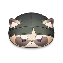 Ronin Raccoonie