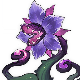 Twisted Spineflower