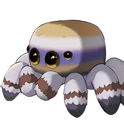 Spooder