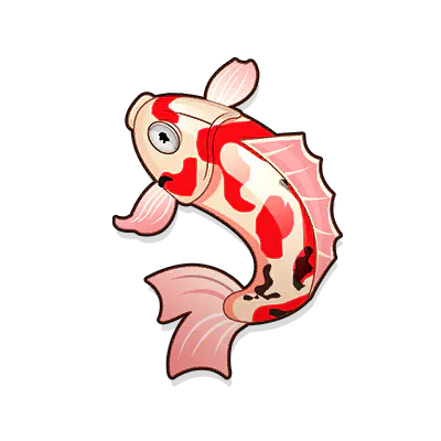 Koi