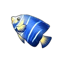 Blue-striped Angelfish