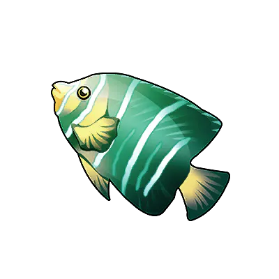 Green-striped Angelfish