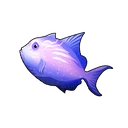 Devil Triggerfish
