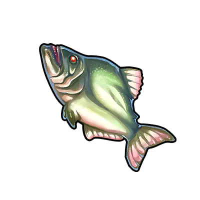 Black-Striped Piranha