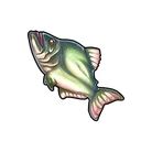 Black-Striped Piranha