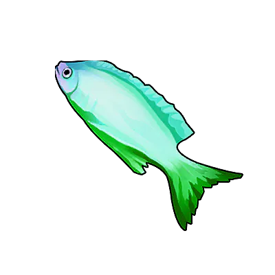 Cyan Queen Angelfish