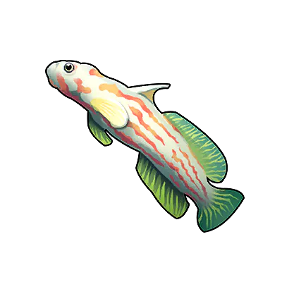 Red-spotted Fish