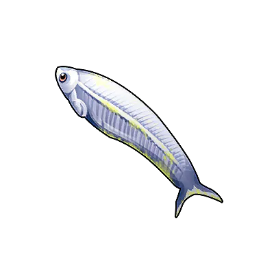 Chub Mackerel