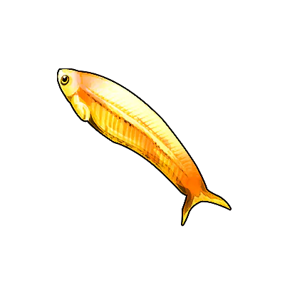 Golden Chub Mackerel