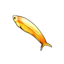 Golden Chub Mackerel