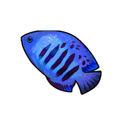 Icy Angelfish